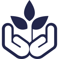 Startups and SMEs
